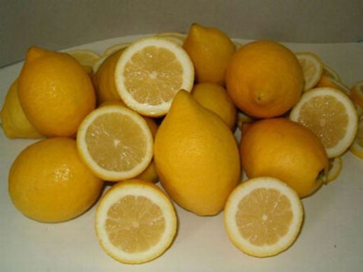 Hamilelikte Limon Yemek Hamilelikte Limon Yemek