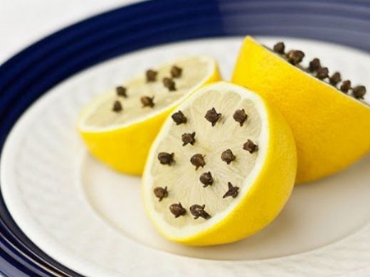 Limon Karanfil Limon Karanfil
