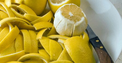 Limon Tansiyon Limon Tansiyon