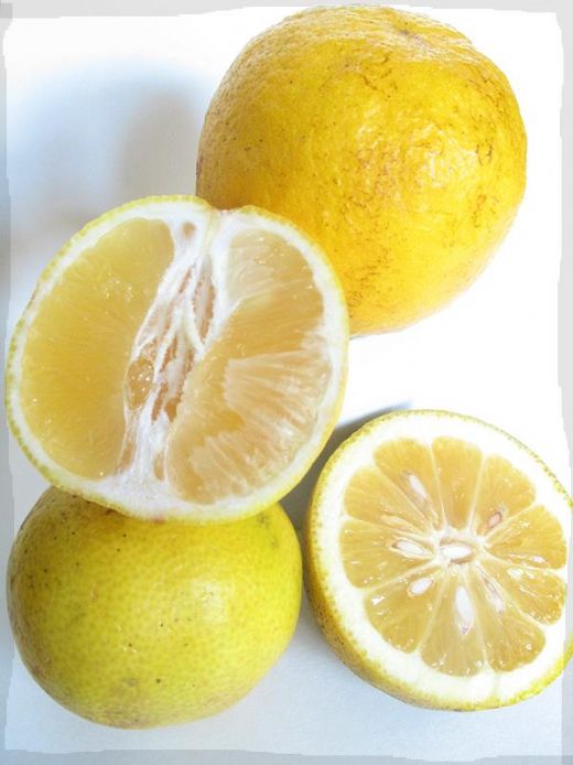 Tatlı Limon Kullanımı ve Faydaları Nelerdir?